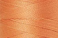 Dried Apricot Color Chip