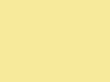 Salus - 30 Weight - Naples Yellow (0142) - Rayon - 4000 Meter (4400 Yard) Spool - Box of 12
