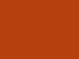 Earth Tone Orange Color Chip
