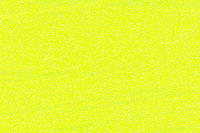 Neon Yellow  Color Chip