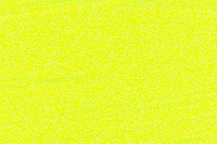 Neon Yellow Color Chip