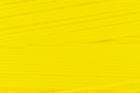 Polyester - Size 46 - Yellow - A&E