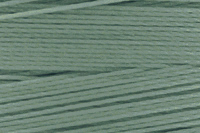 Sage Color Chip