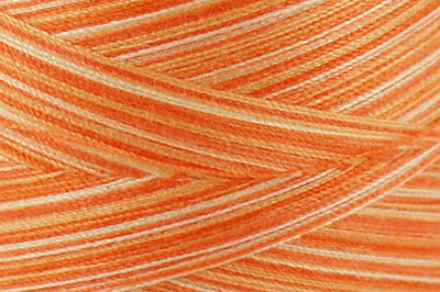 Variegated Orange Creamsicle Color Chip