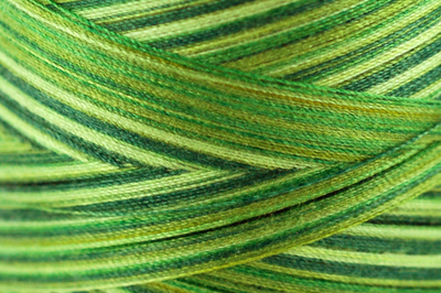 Variegated Kiwi Twist Color Chip