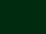 Evergreen Color Chip