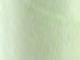 Lime Moonglow Color Chip