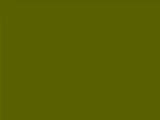 Olive Color Chip