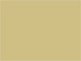 Sand Color Chip