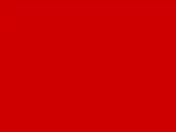 Red Color Chip