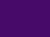 Artificial Sinew - Artificial Sinew - Purple
