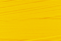 Yellow Color Chip