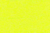 Neon Yellow  Color Chip