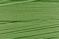 Bonded Nylon - Size 69 (Tex 70) - Leaf Green (Amann 2755) - 10 Oz Spool - 3750 Yards