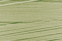 Hemp Green Color Chip