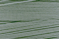 Bonded Polyester - Size 138 (Tex 135) - Storm Gray (Amann 7077U) - 16 Oz Spool - 3000 Yards