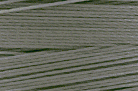 Bonded Polyester - Size 92 (Off Size) - Charcoal Gray (Amann 7115U) - 4 Oz Spool - 1050 Yards