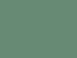 Far East Green Color Chip