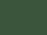 Deep Forest Green Color Chip
