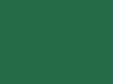 Duck Wing Green Color Chip