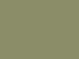 Foliage Green Color Chip