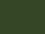 Deep Folliage Green Color Chip