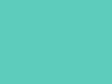 Bright Aqua Color Chip