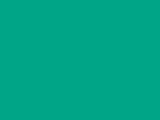 Dark Mint Color Chip