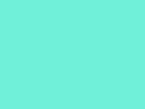 Pale Aqua Color Chipc