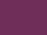 Passion Purple Color Chip