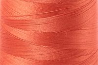 Dusty Orange Color Chip