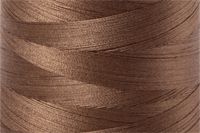 Dark Sandstone Color Chip
