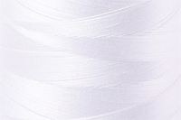 Natural White Color Chip