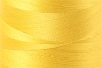 Canary Color Chip