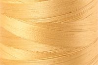 Spun Gold Color Chip