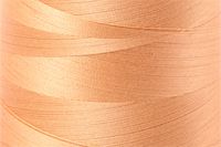 Golden Honey Color Chip