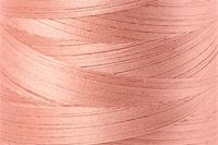 Peach Color Chip