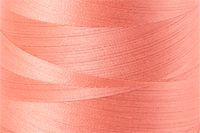 Light Salmon Color Chip