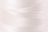 Silver White Color Chip