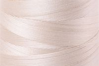 Light Beige Color Chip