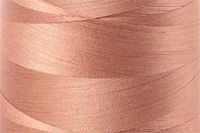 Light Chestnut Color Chip