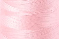 Blush Color Chip