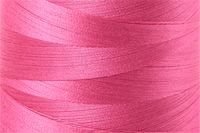 Blossom Pink Color Chip