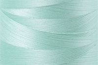 Mint Color Chip
