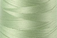 Light Fern Color Chip