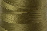 Very Dark Olive Color Chip