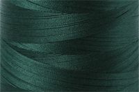 Forest Green Color Chip
