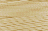 Beige Color Chip