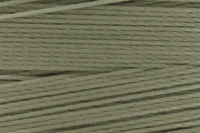 Pale Green Color Chip