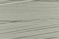 Silver Color Chip